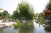 Un bassin et jardin exemplaire 2  46 