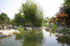 Un bassin et jardin exemplaire 2  45 