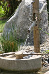 Un bassin et jardin exemplaire 2  22 