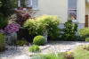 Un bassin et jardin exemplaire 2  16 