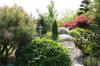 Un bassin et jardin exemplaire 2  8 