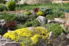 Un bassin et jardin exemplaire 3  45 