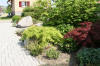 Un bassin et jardin exemplaire 3  42 