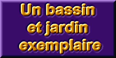 Un bassin et jardin exemplaire 3  1 