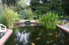 Les bassin de jardin de Bouda le bassin de jardin principal  27 