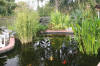 Les bassin de jardin de Bouda le bassin de jardin principal  18 