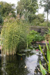 Les bassin de jardin de Bouda le bassin de jardin principal  2 