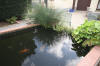Les bassin de jardin de Bouda le bassin de jardin principal suite  15 