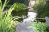 Les bassin de jardin de Bouda le bassin de jardin principal suite  5 