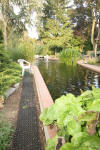 Les bassin de jardin de Bouda le bassin de jardin principal suite  2 