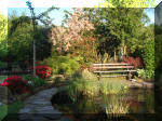 Le bassin de jardin d'Aquatechnobel de jour 2  20 