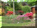 Le bassin de jardin d'Aquatechnobel de jour 2  21 