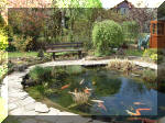 Le bassin de jardin d'Aquatechnobel de jour 2  42 