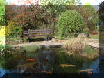 Le bassin de jardin d'Aquatechnobel de jour 2  30 