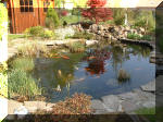 Le bassin de jardin d'Aquatechnobel de jour 2  32 