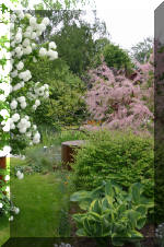 Le bassin de jardin d'Aquatechnobel de jour 6  35 