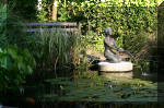 Le bassin de jardin d'Aquatechnobel de jour 8  17 