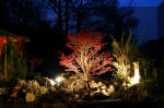 Le bassin de jardin d'Aquatechnobel la nuit 2  35 