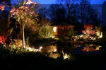 Le bassin de jardin d'Aquatechnobel la nuit 2  34 
