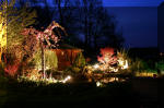 Le bassin de jardin d'Aquatechnobel la nuit 2  20 