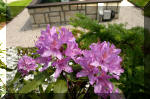 Le bassin de jardin d'Aquatechnobel fontaine 2  43 