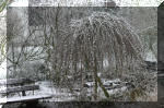 Le bassin de jardin d'Aquatechnobel l'hiver  38 