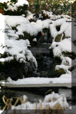 Le bassin de jardin d'Aquatechnobel l'hiver  6 