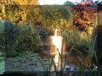 Le bassin de jardin d'Aquatechnobel la nuit 1  41 