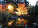 Le bassin de jardin d'Aquatechnobel la nuit 1  40 
