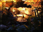 Le bassin de jardin d'Aquatechnobel la nuit 1  38 