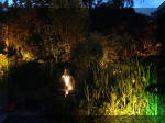 Le bassin de jardin d'Aquatechnobel la nuit 1  36 