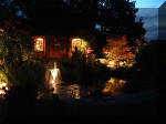 Le bassin de jardin d'Aquatechnobel la nuit 1  27 