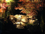 Le bassin de jardin d'Aquatechnobel la nuit 1  25 