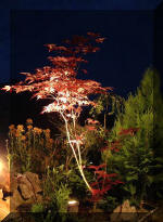 Le bassin de jardin d'Aquatechnobel la nuit 1  18 