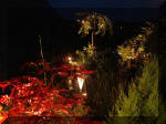 Le bassin de jardin d'Aquatechnobel la nuit 1  23 