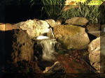 Le bassin de jardin d'Aquatechnobel la nuit 1  14 