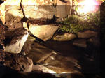 Le bassin de jardin d'Aquatechnobel la nuit 1  13 