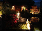 Le bassin de jardin d'Aquatechnobel la nuit 1  6 