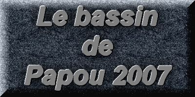 Le bassin de jardin de Papou - la vido  1 