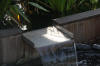 Le bassin de jardin de Papou - le bassin en images  23 