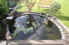 Le bassin de jardin de Papou - le bassin en images suite  13 