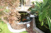 Le bassin de jardin de Papou - le bassin en images suite  6 