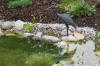 Petit bassin en Alsace en 2007  25 