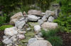 Petit bassin en Alsace en 2007  6 
