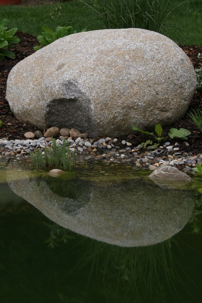 Petit bassin en Alsace en 2007 2