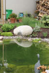 Petit bassin en Alsace en 2007  17 