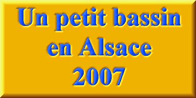 Petit bassin en Alsace en 2007  1 