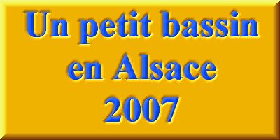 Petit bassin en Alsace en 2007 1