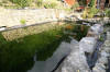 Le bassin de jardin de Plumplume les photos  51 