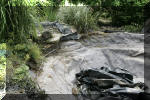 Réhabiltation d'un bassin du Branois - Le nettoyage du bassin    6 